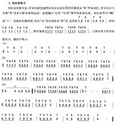 <b>ŵӵĳɵ˫ϰ</b>